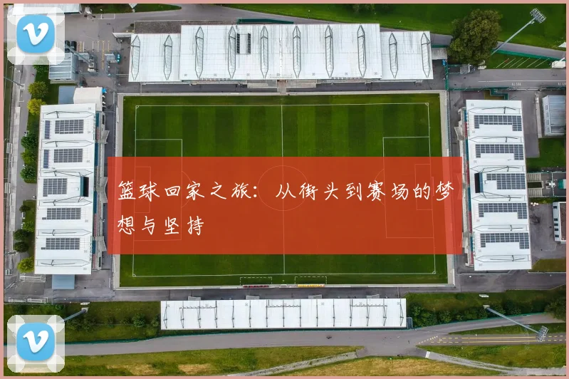 篮球回家之旅：从街头到赛场的梦想与坚持