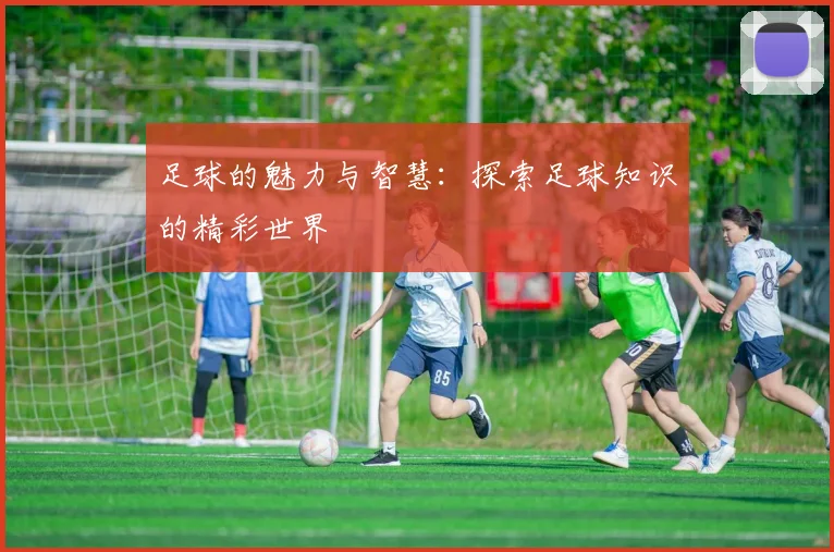 足球的魅力与智慧：探索足球知识的精彩世界