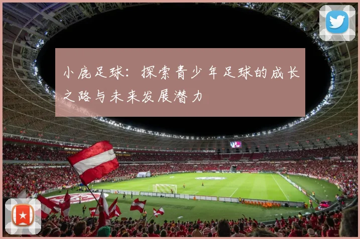 小鹿足球：探索青少年足球的成长之路与未来发展潜力