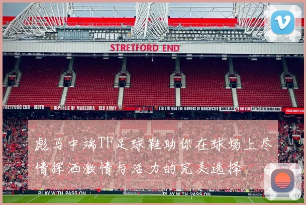 彪马中端TF足球鞋助你在球场上尽情挥洒激情与活力的完美选择