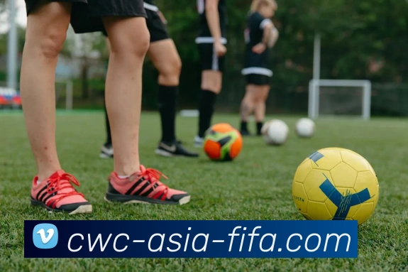 2026世界杯平台生态图